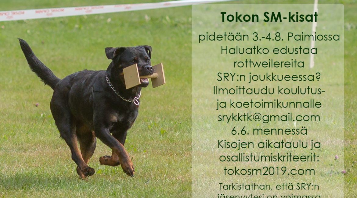 Tokon SM-joukkue