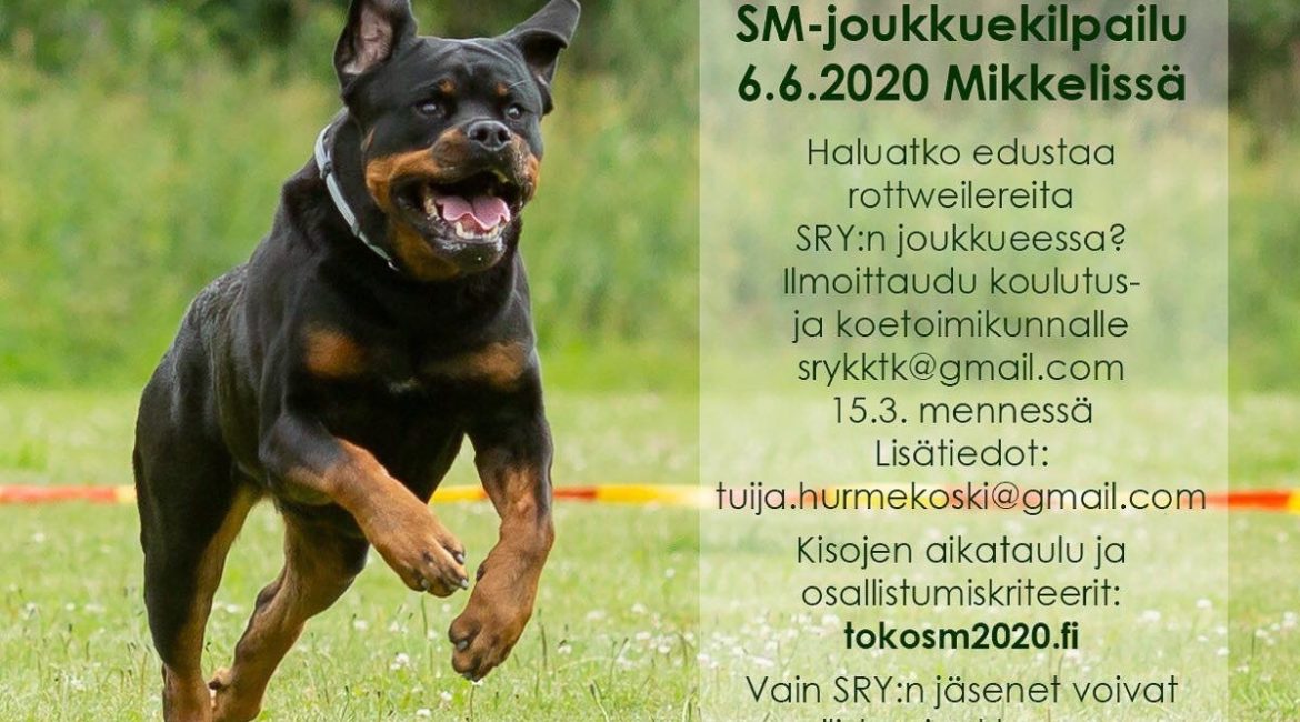 Tokon SM-joukkue 2020