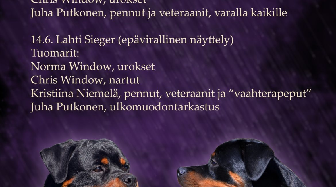 Erikoisnäyttely 2020