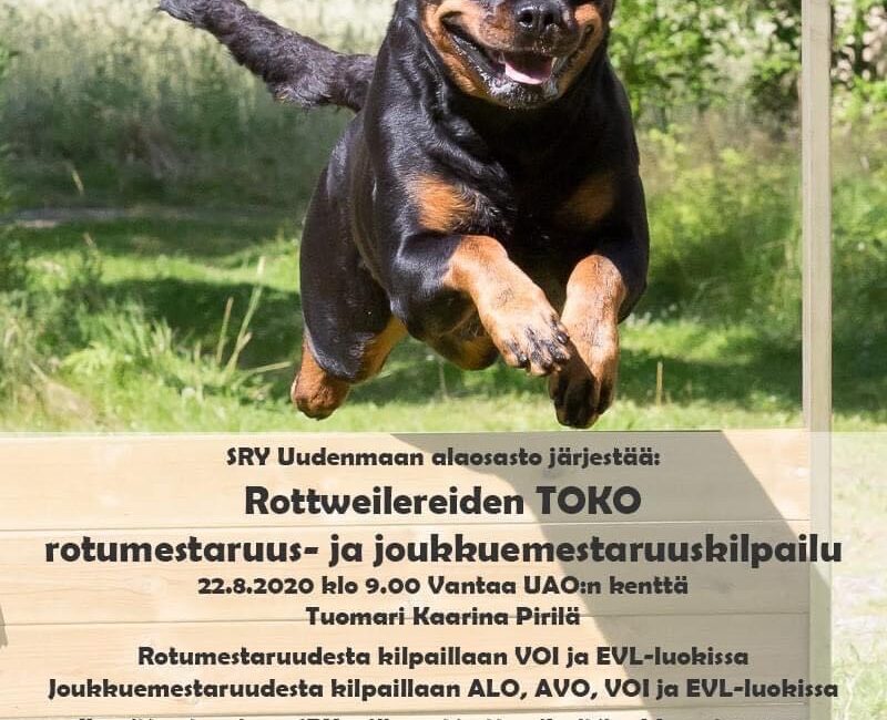 Tokon rotumestaruus 2020